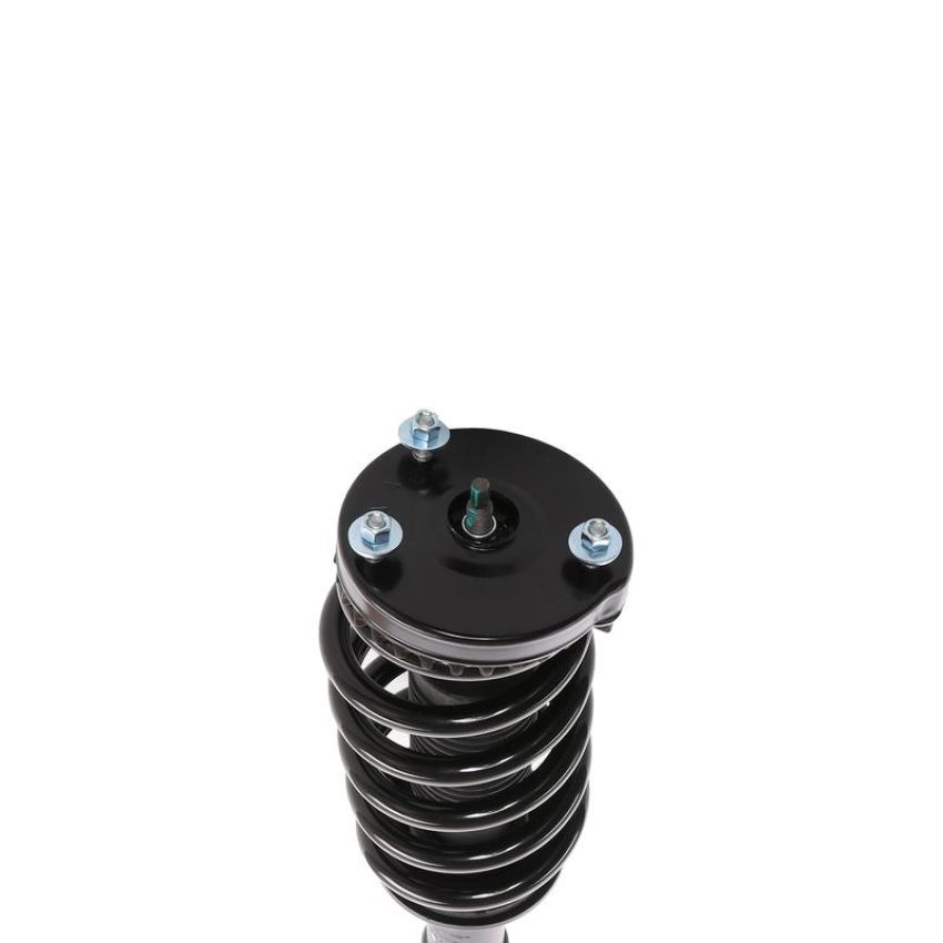 PRT PERFORMANCE RIDE 818943 PRT Complete Strut Assembly