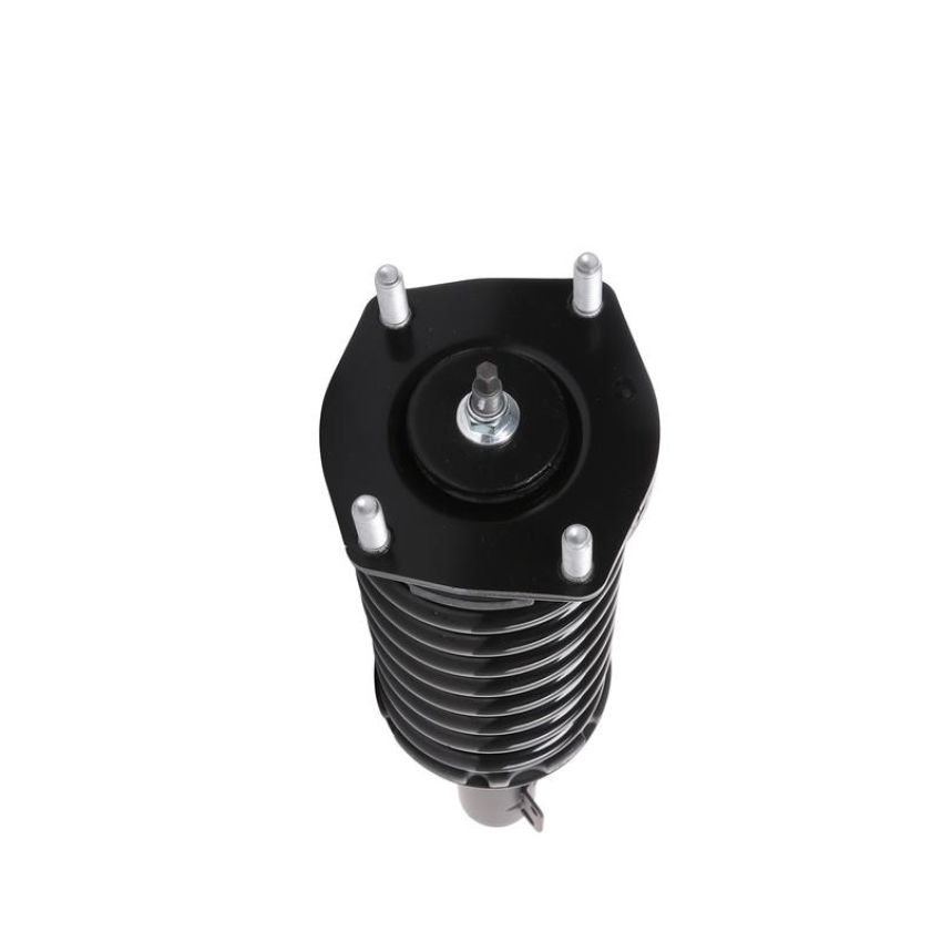 PRT PERFORMANCE RIDE 818947 PRT Complete Strut Assembly