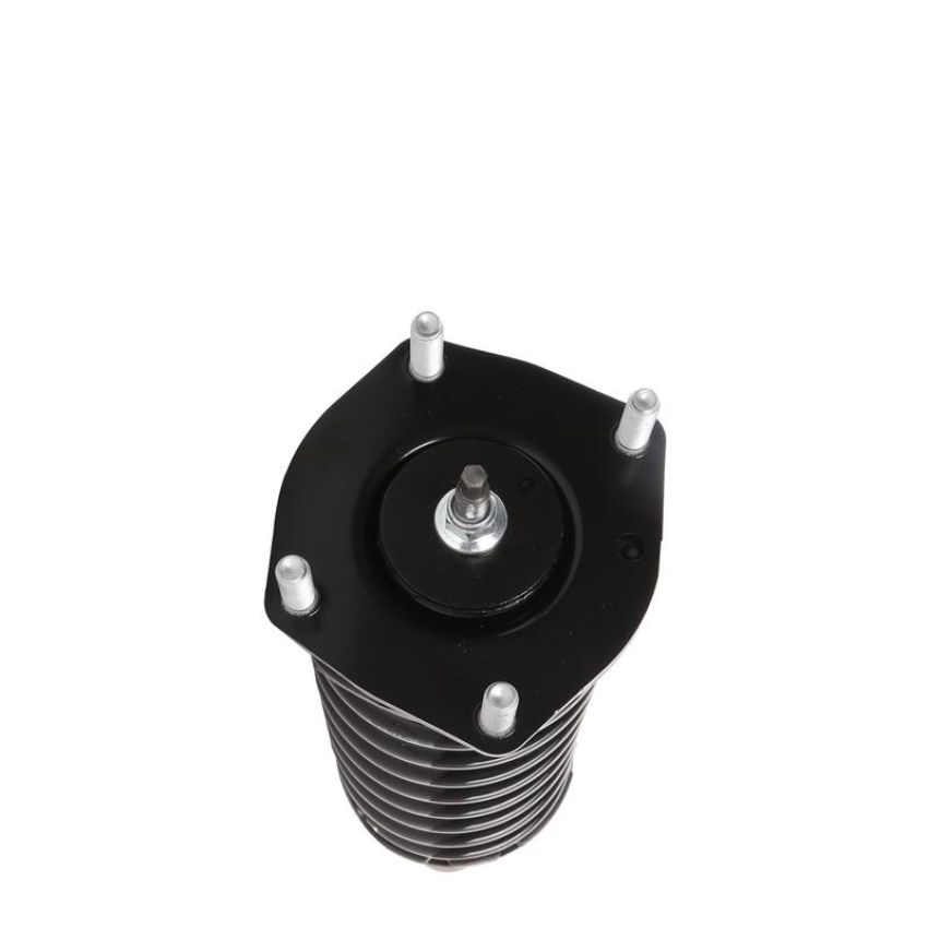 PRT PERFORMANCE RIDE 818948 PRT Complete Strut Assembly
