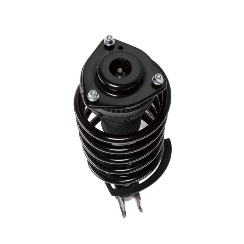 PRT PERFORMANCE RIDE 818991 PRT Complete Strut Assembly