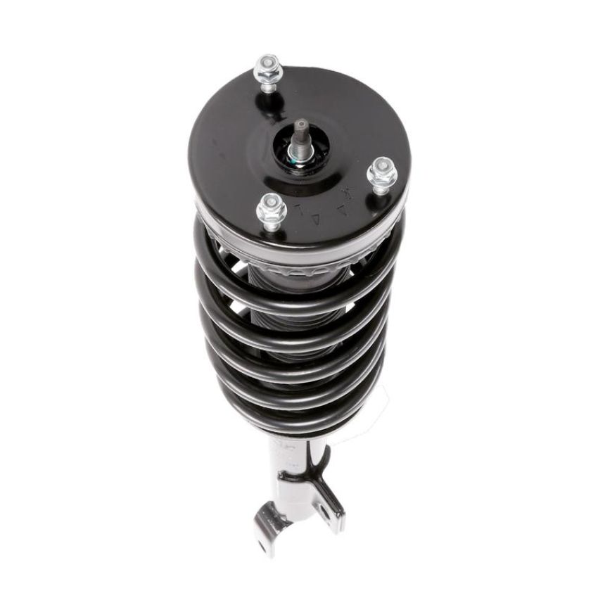PRT PERFORMANCE RIDE 819559 PRT Complete Strut Assembly