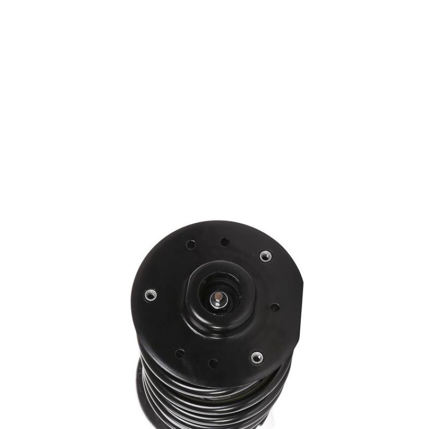 PRT PERFORMANCE RIDE 819569 PRT Complete Strut Assembly