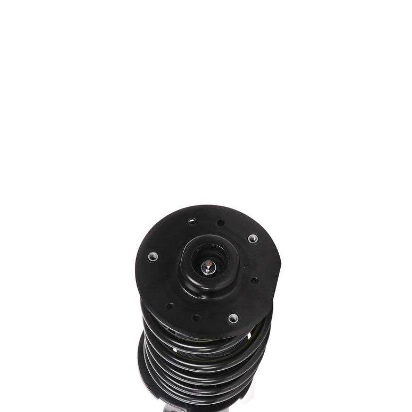 PRT PERFORMANCE RIDE 819570 PRT Complete Strut Assembly