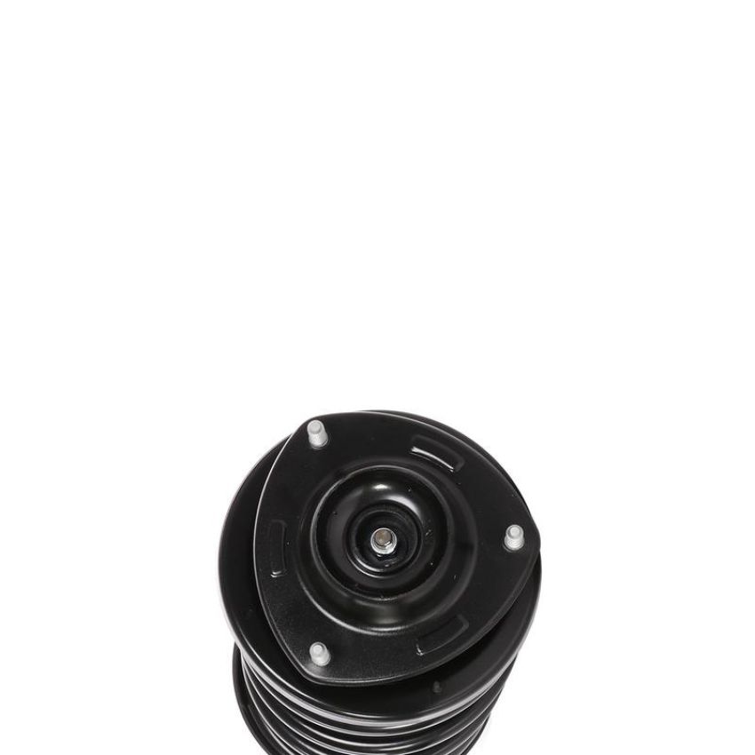 PRT PERFORMANCE RIDE 819575 PRT Complete Strut Assembly