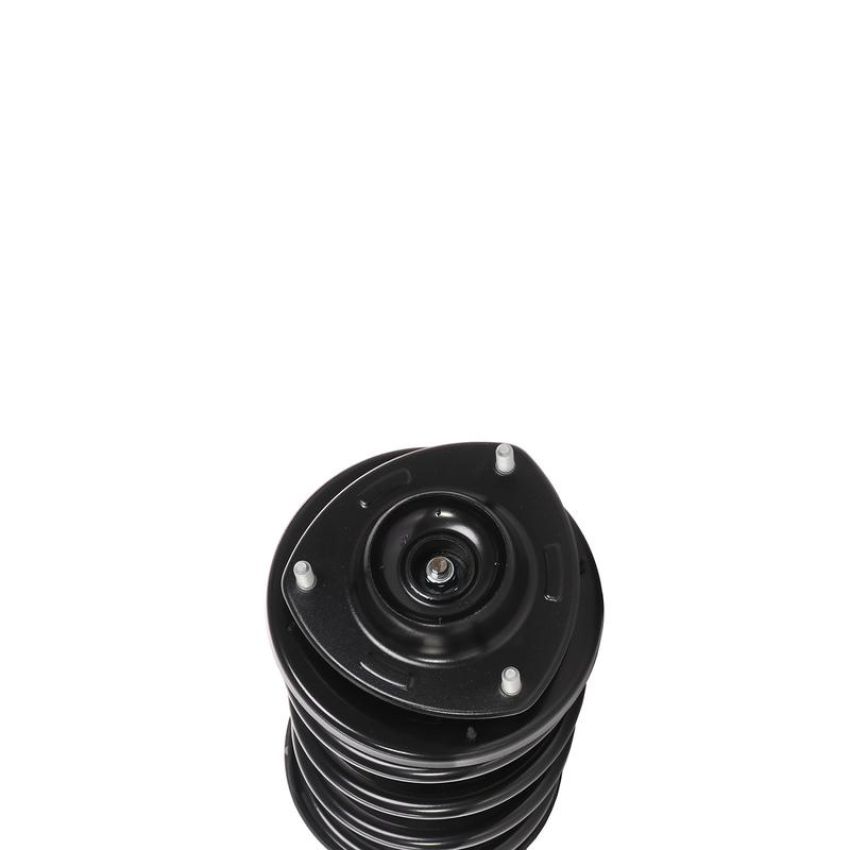 PRT PERFORMANCE RIDE 819576 PRT Complete Strut Assembly