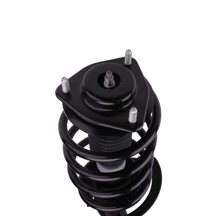 PRT PERFORMANCE RIDE 819587 PRT Complete Strut Assembly
