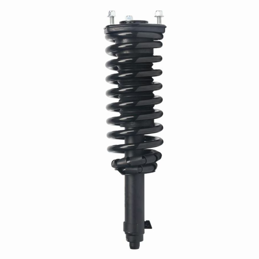 PRT PERFORMANCE RIDE 920248 PRT Complete Strut Assembly