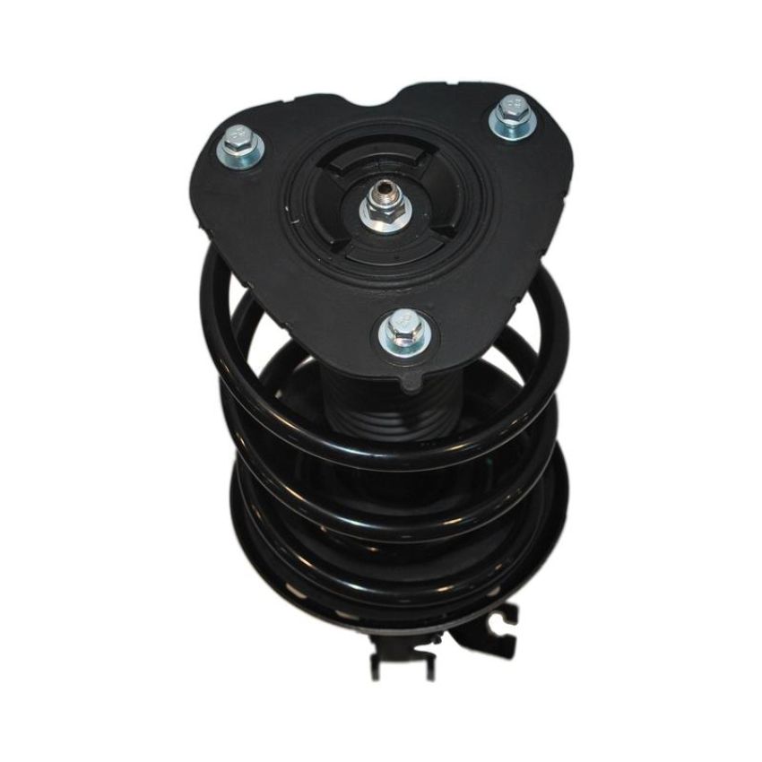 PRT PERFORMANCE RIDE 920280 PRT Complete Strut Assembly