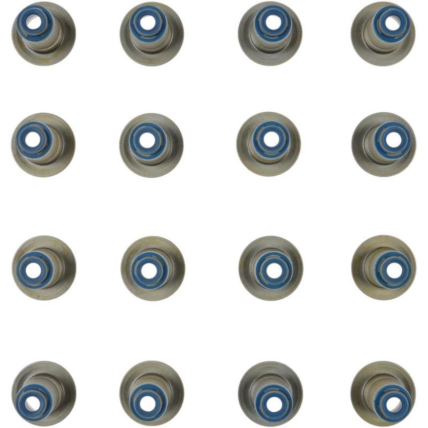 Victor Reinz 12-10027-01 Engine Valve Stem Oil Seal Set