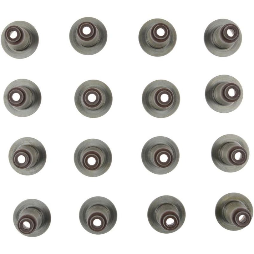 Victor Reinz 12-10030-01 Engine Valve Stem Oil Seal Set