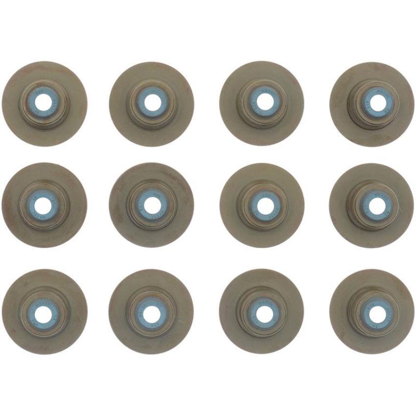 Victor Reinz 12-10032-01 Engine Valve Stem Oil Seal Set