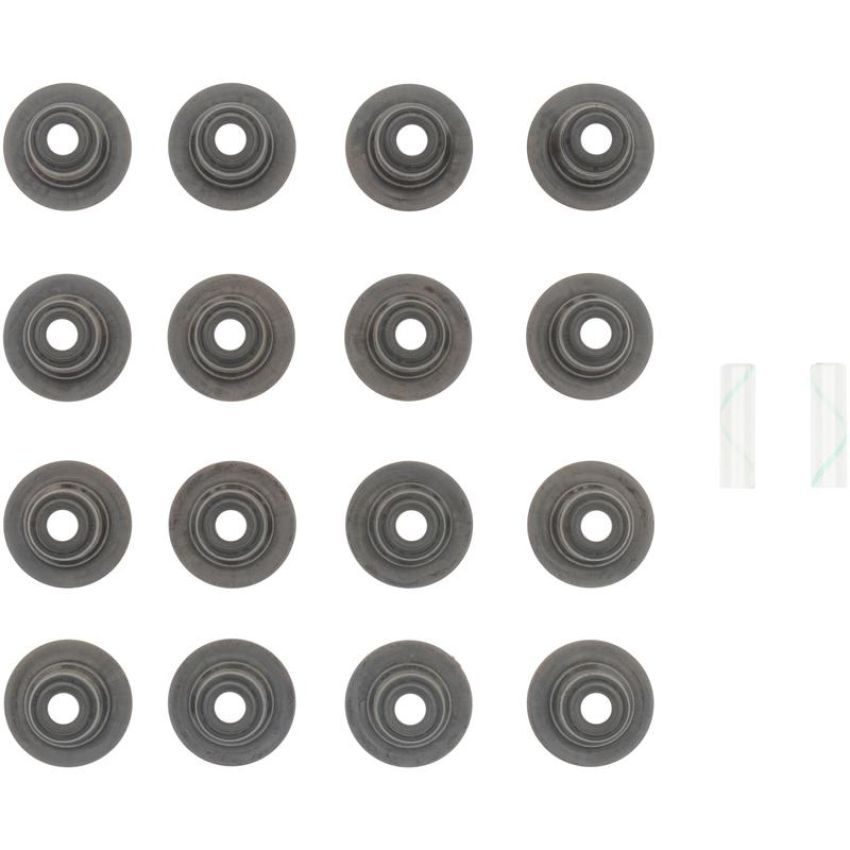 Victor Reinz 12-10034-01 Engine Valve Stem Oil Seal Set