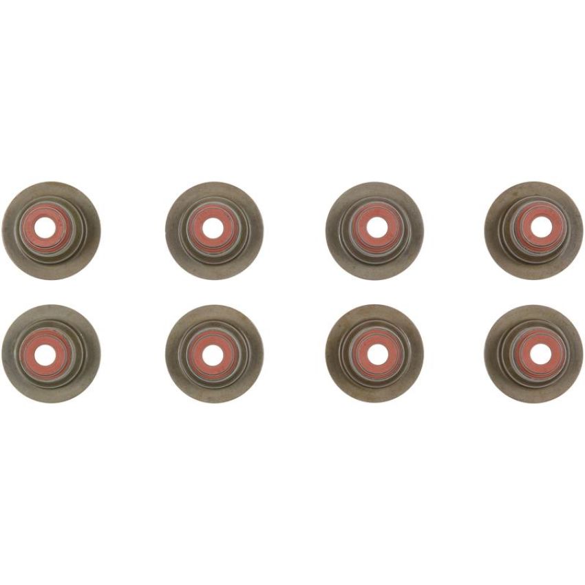 Victor Reinz 12-10036-01 Engine Valve Stem Oil Seal Set