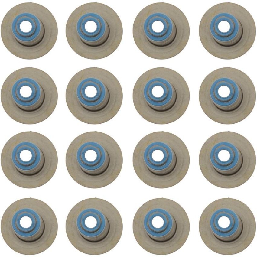 Victor Reinz 12-10045-01 Engine Valve Stem Oil Seal Set