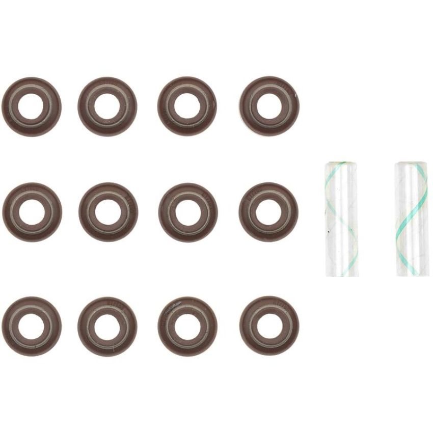 Victor Reinz 12-10052-01 Engine Valve Stem Oil Seal Set