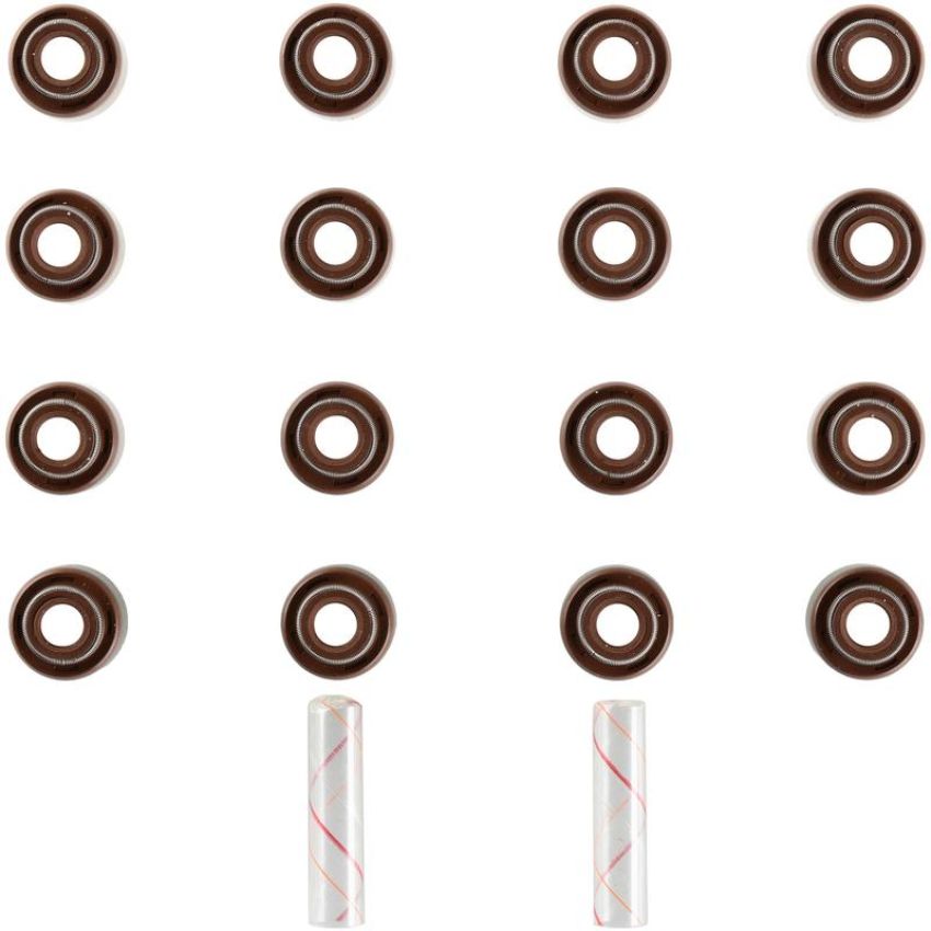 Victor Reinz 12-10077-01 Engine Valve Stem Oil Seal Set