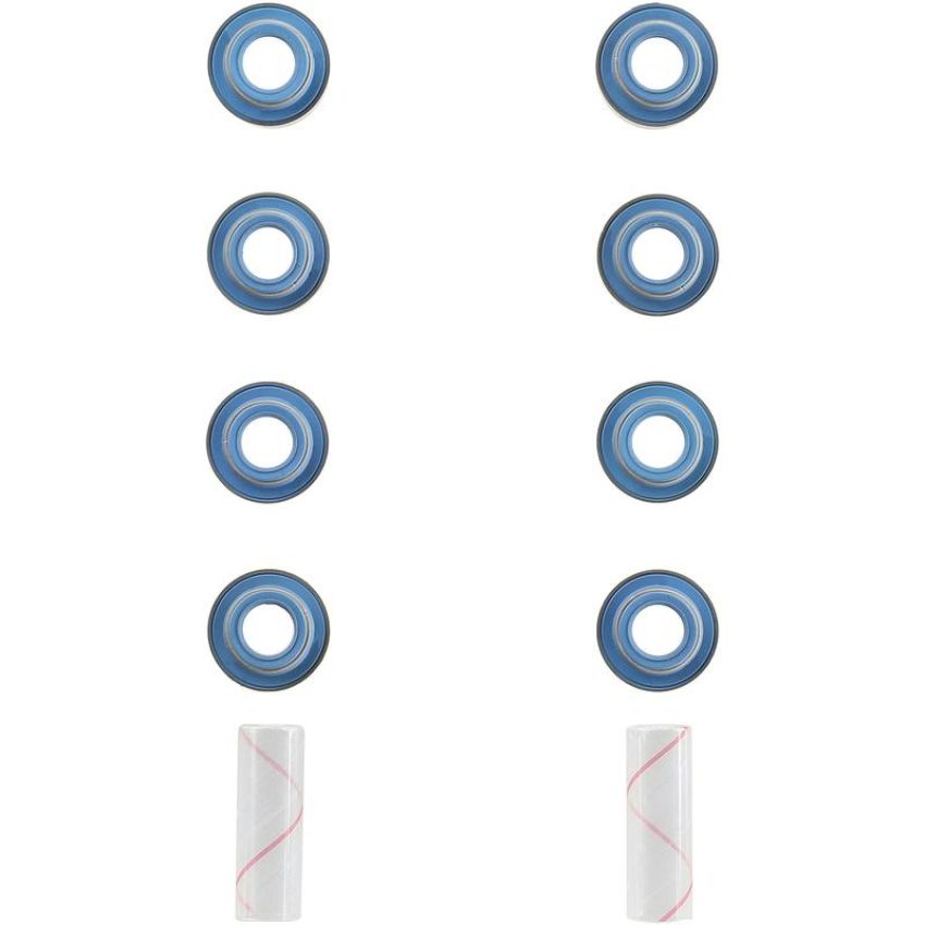 Victor Reinz 12-10096-01 Engine Valve Stem Oil Seal Set