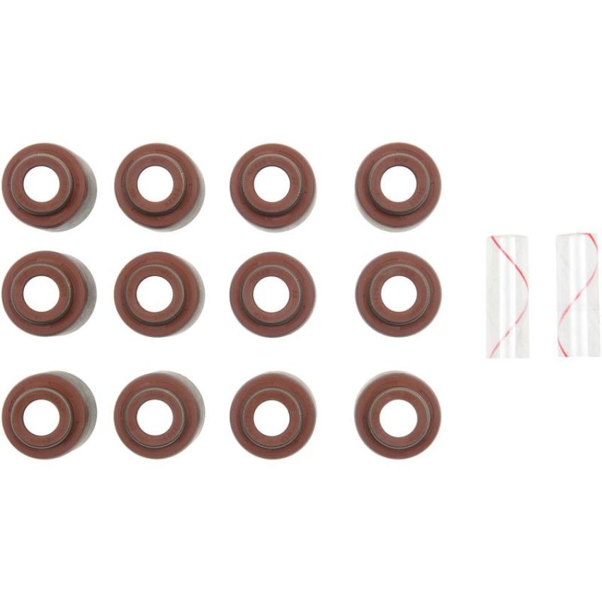 Victor Reinz 12-10240-01 Engine Valve Stem Oil Seal Set