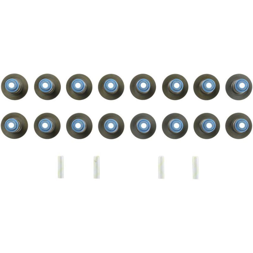 Victor Reinz 12-10254-01 Engine Valve Stem Oil Seal Set