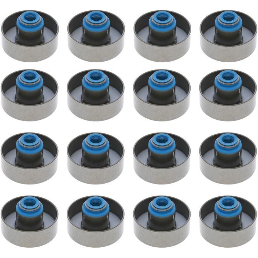 Victor Reinz 12-19448-01 Engine Valve Stem Oil Seal Set