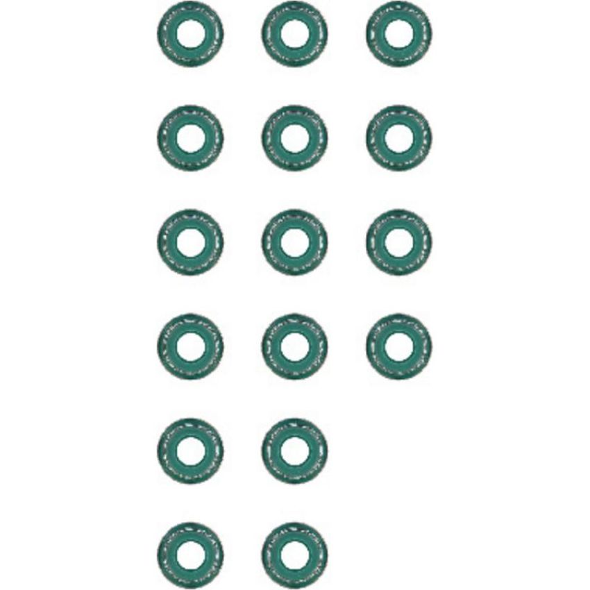 Victor Reinz 12-31306-01 Engine Valve Stem Oil Seal Set