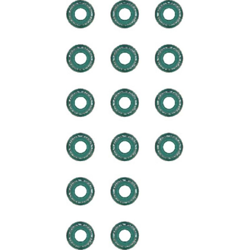 Victor Reinz 12-31306-01 Engine Valve Stem Oil Seal Set