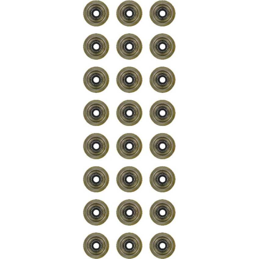 Victor Reinz 12-35406-01 Engine Valve Stem Oil Seal Set