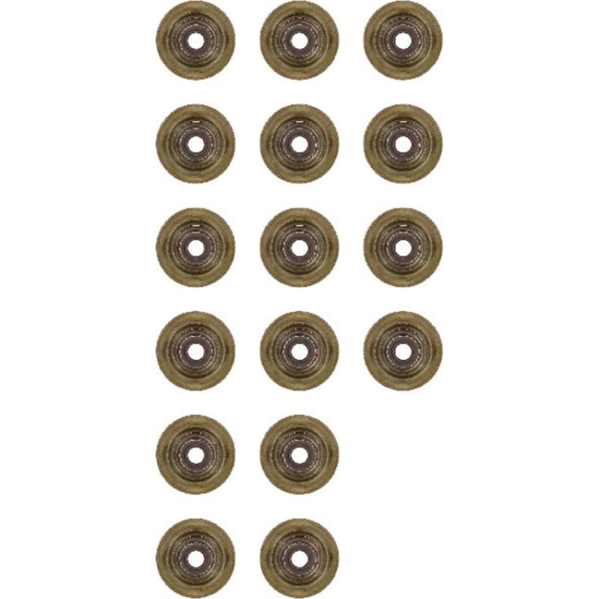 Victor Reinz 12-37621-01 Engine Valve Stem Oil Seal Set