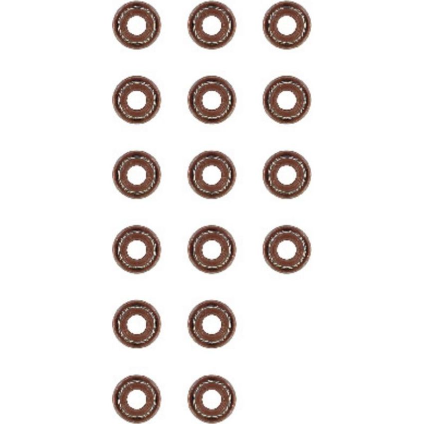 Victor Reinz 12-52738-01 Engine Valve Stem Oil Seal Set