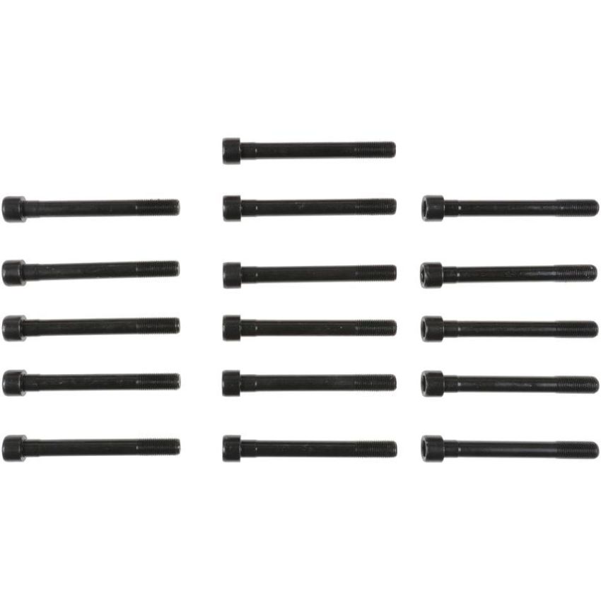 Victor Reinz 14-10056-01 Engine Cylinder Head Bolt Set