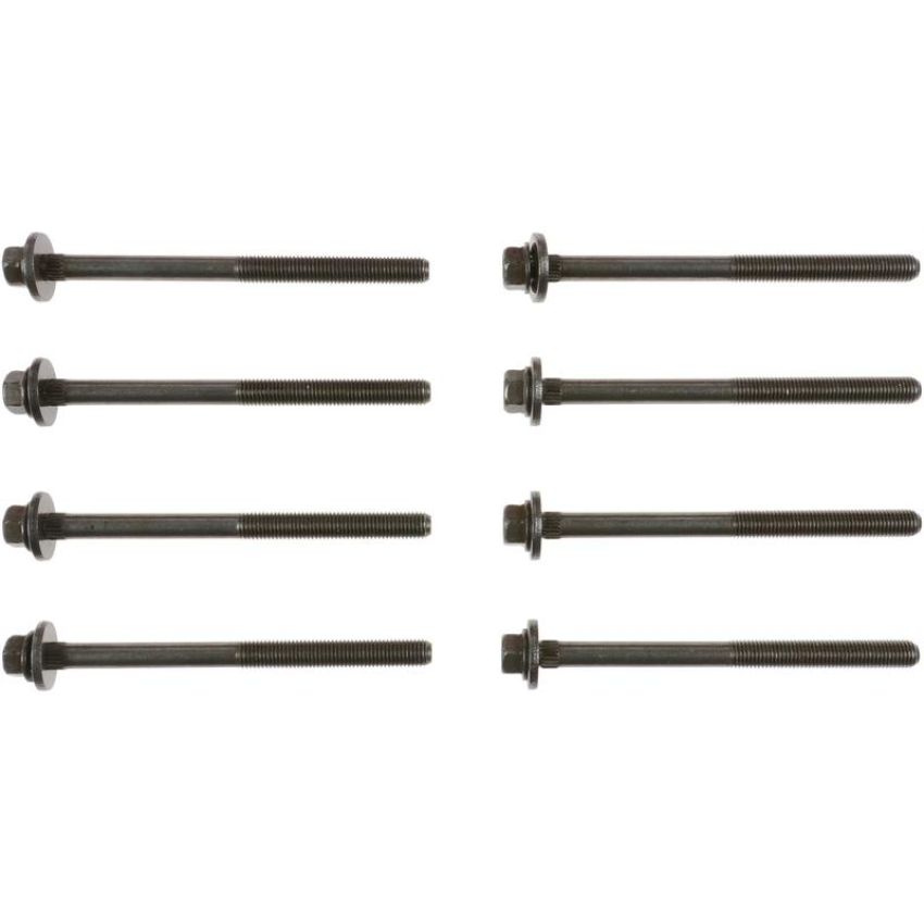 Victor Reinz 14-10066-01 Engine Cylinder Head Bolt Set
