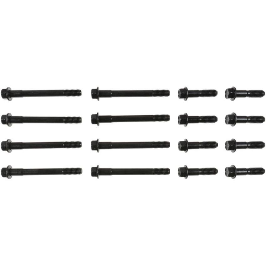 Victor Reinz 14-10109-01 Engine Cylinder Head Bolt Set