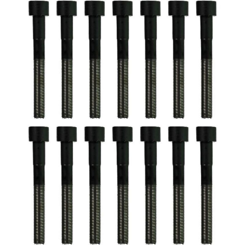 Victor Reinz 14-10112-01 Engine Cylinder Head Bolt Set
