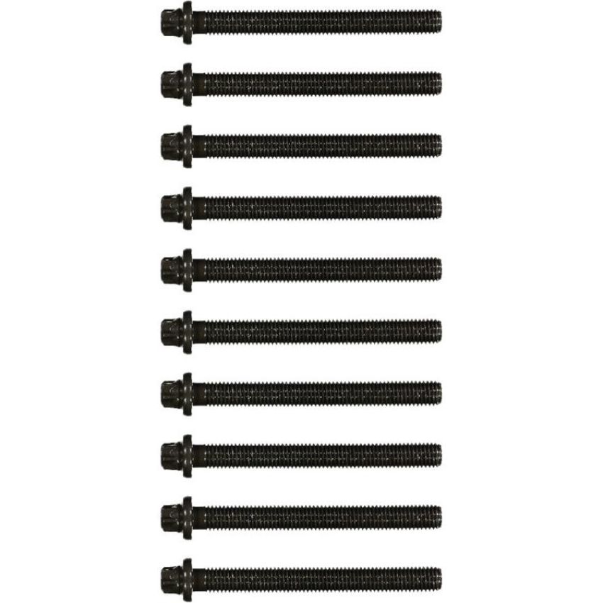 Victor Reinz 14-32002-01 Engine Cylinder Head Bolt Set