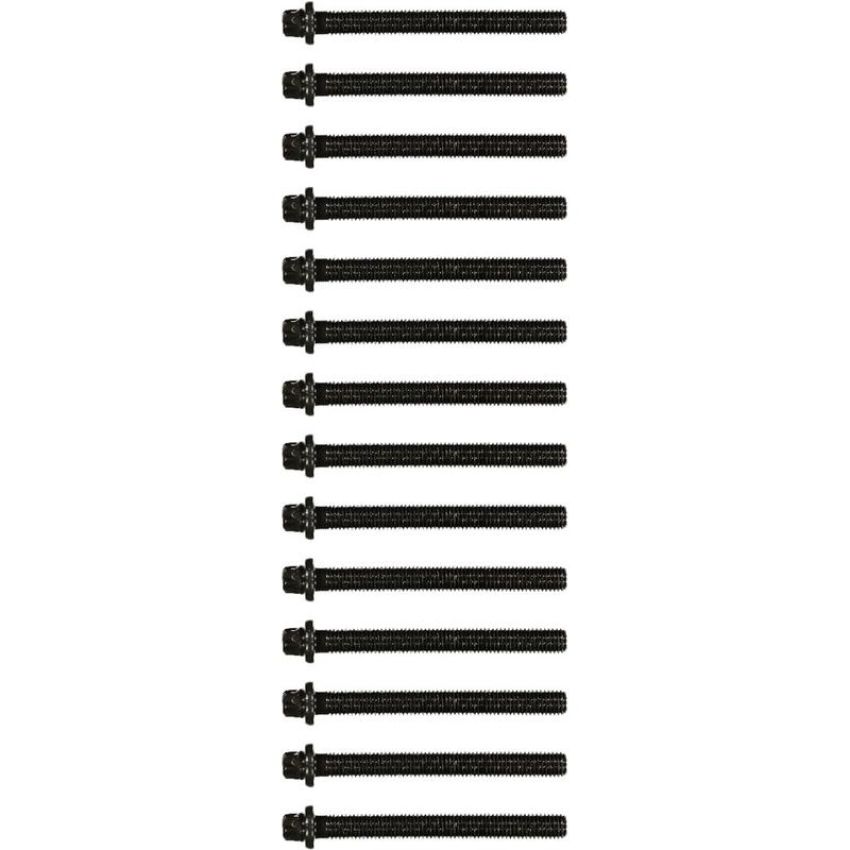 Victor Reinz 14-32002-02 Engine Cylinder Head Bolt Set