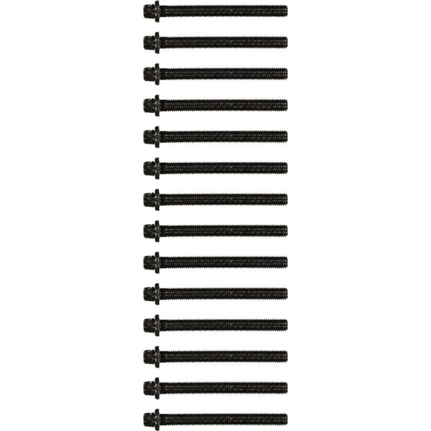 Victor Reinz 14-32002-02 Engine Cylinder Head Bolt Set