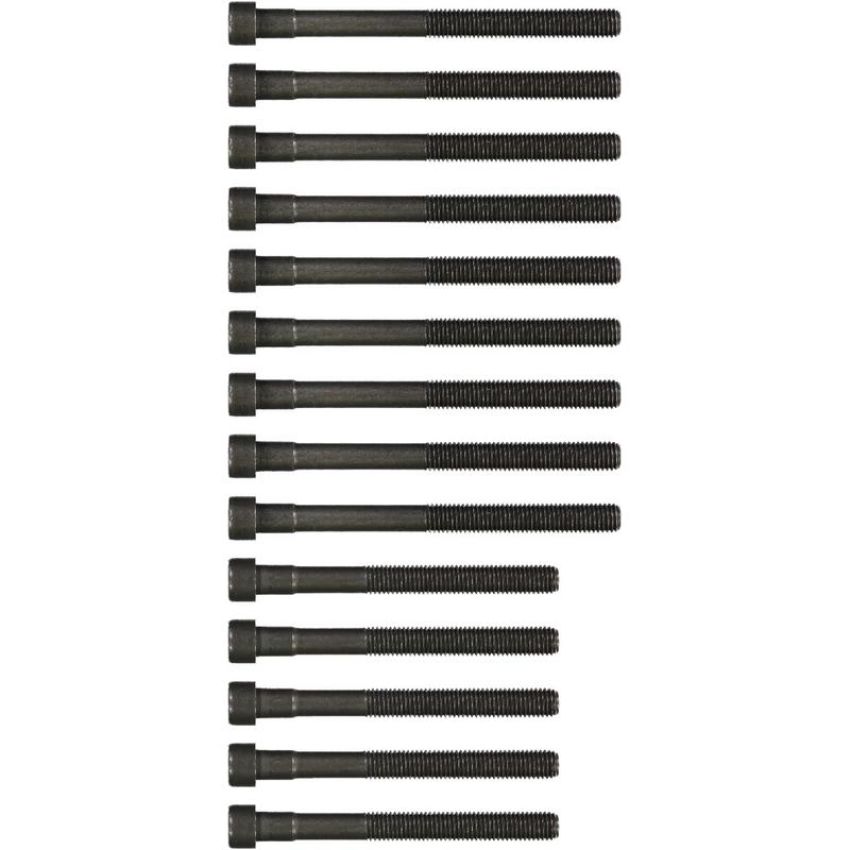 Victor Reinz 14-32030-02 Engine Cylinder Head Bolt Set