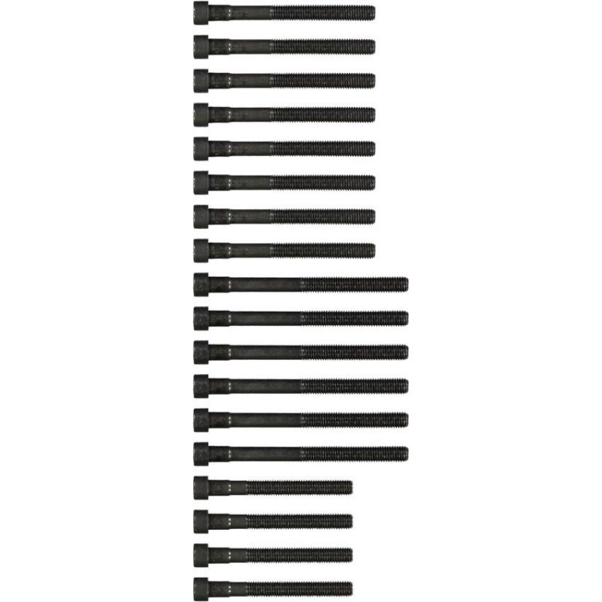 Victor Reinz 14-32032-01 Engine Cylinder Head Bolt Set