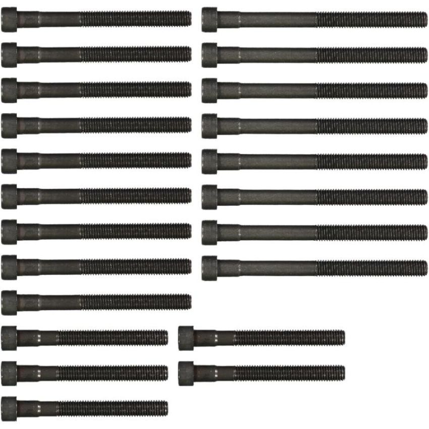 Victor Reinz 14-32032-02 Engine Cylinder Head Bolt Set