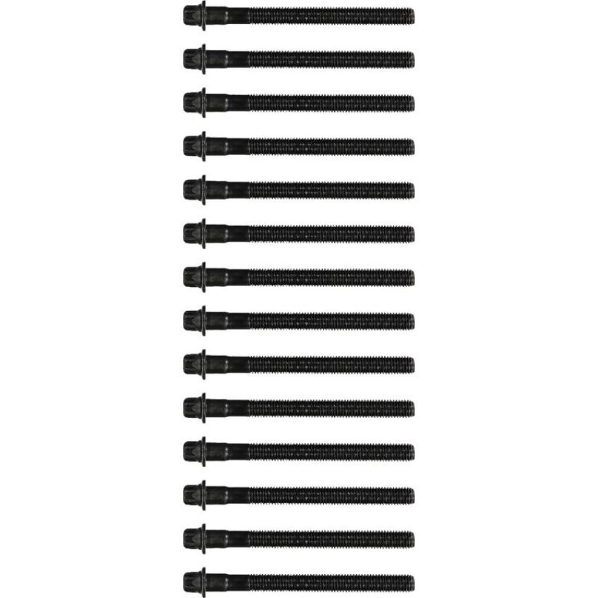 Victor Reinz 14-32101-01 Engine Cylinder Head Bolt Set