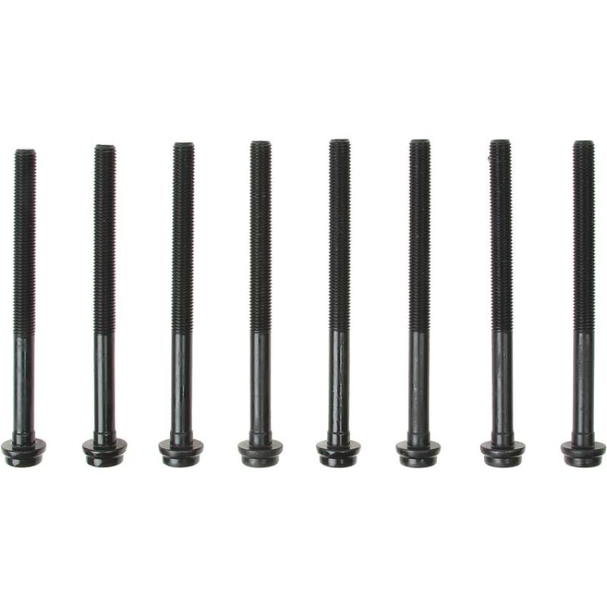 Victor Reinz 14-32106-01 Engine Cylinder Head Bolt Set