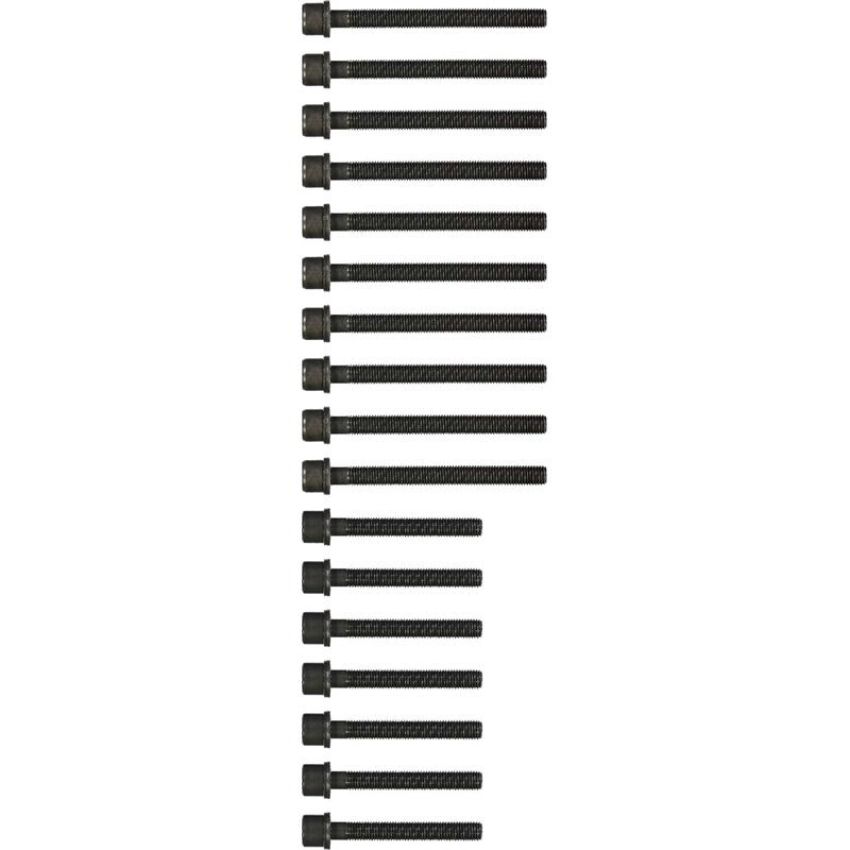 Victor Reinz 14-32174-02 Engine Cylinder Head Bolt Set