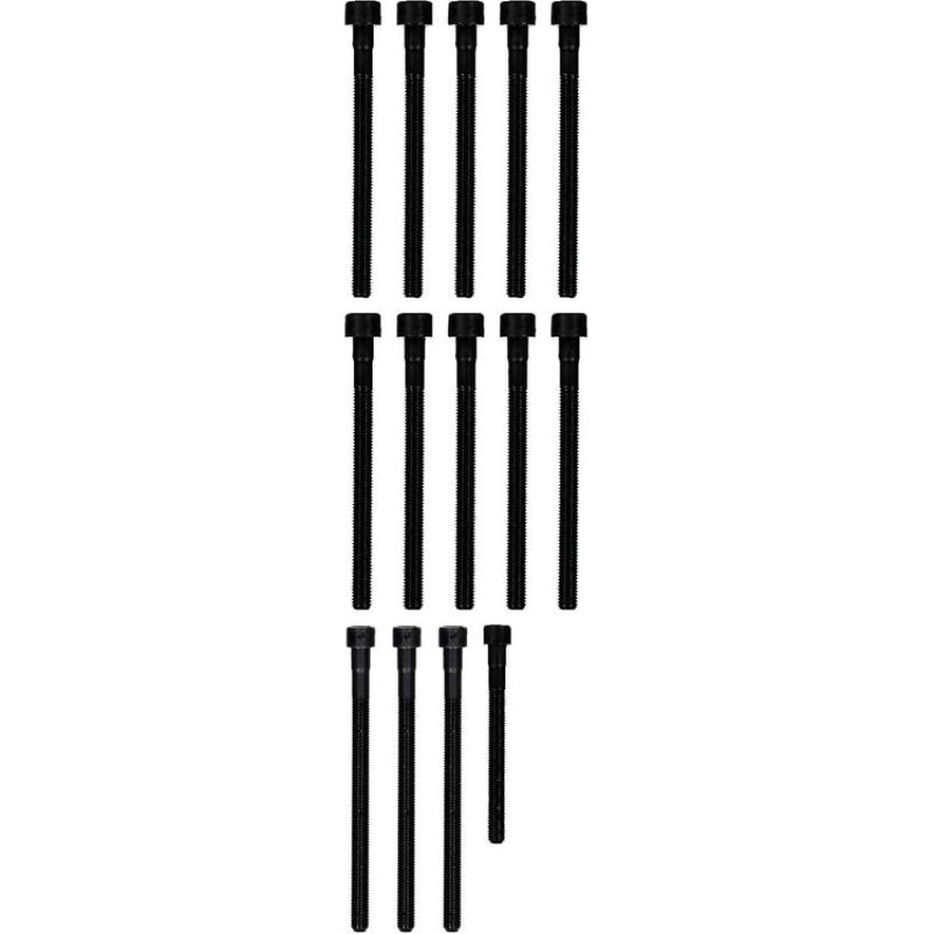 Victor Reinz 14-32315-01 Engine Cylinder Head Bolt Set