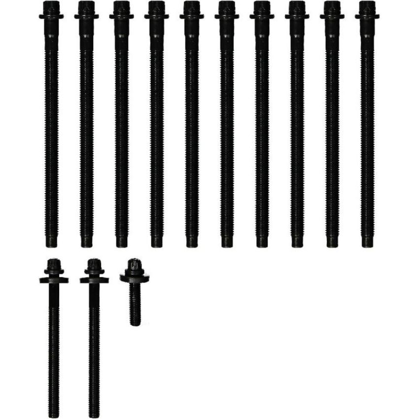 Victor Reinz 14-32347-01 Engine Cylinder Head Bolt Set