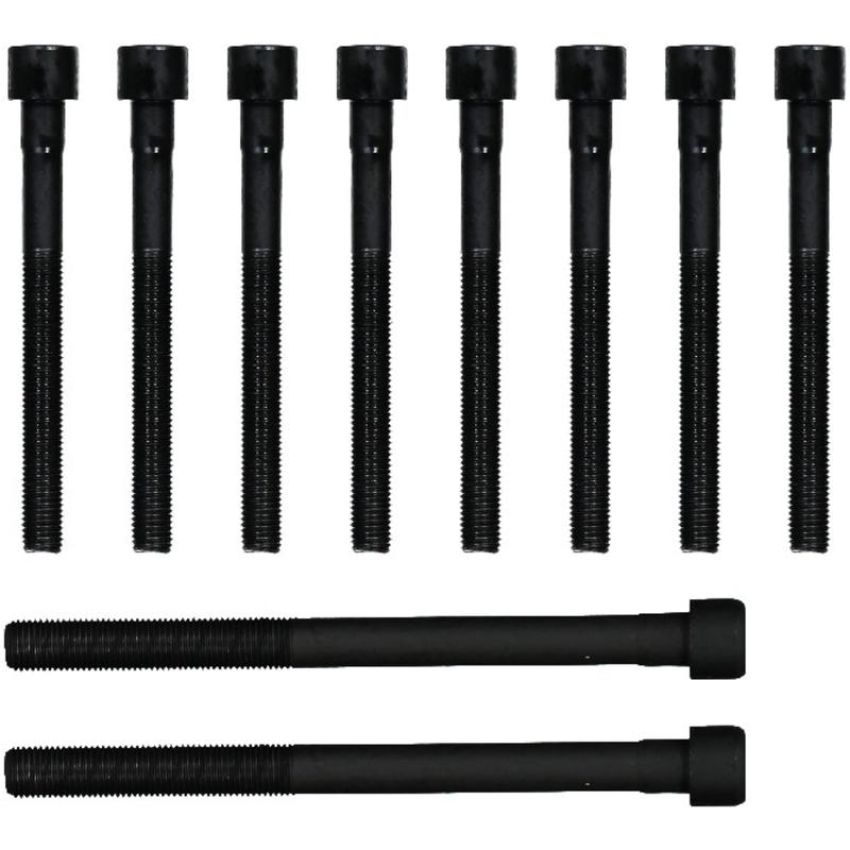 Victor Reinz 14-55097-01 Engine Cylinder Head Bolt Set