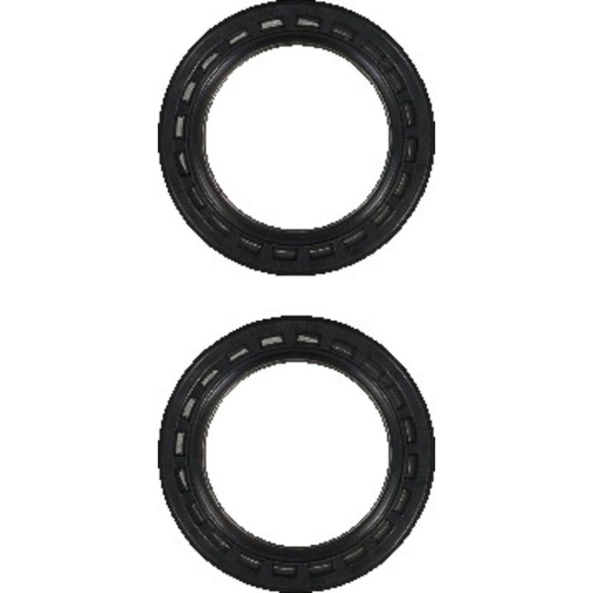 Victor Reinz 15-10069-01 Engine Camshaft Seal Kit