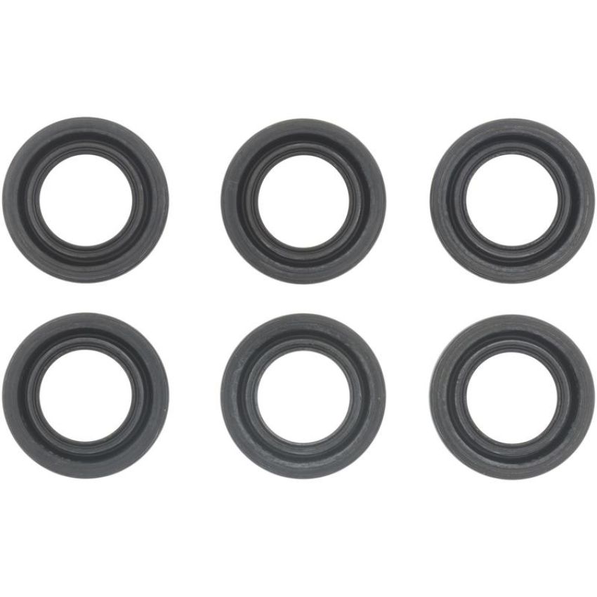 Victor Reinz 18-10036-01 Spark Plug Tube Seal Set