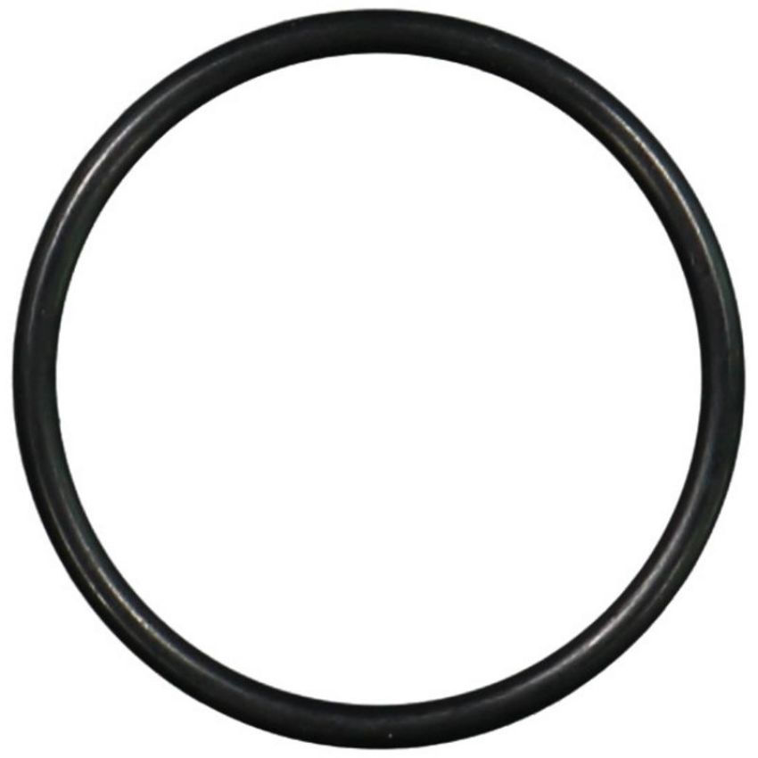 Victor Reinz 41-10039-00 Engine Coolant Outlet Gasket