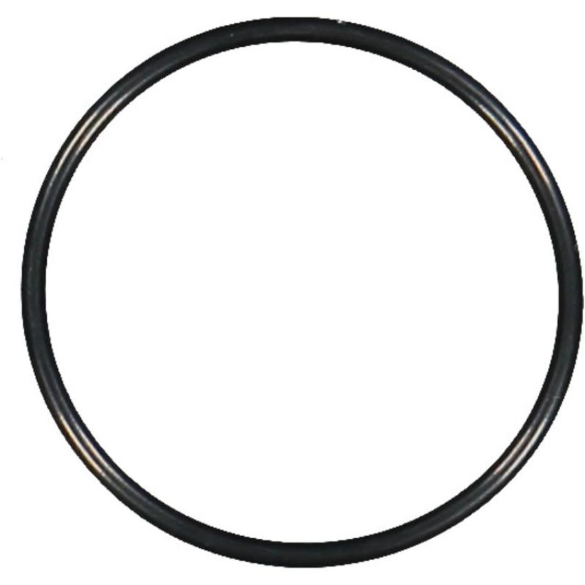 Victor Reinz 41-10285-00 Engine Water Pump Housing O-Ring