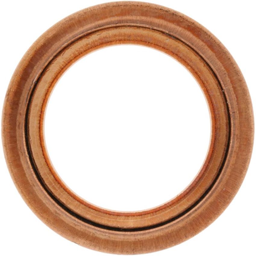 Victor Reinz 41-72005-30 Engine Valve Cover Bolt O-Ring